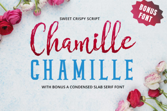 Chamille Script: A Sweet Hand-Lettered Font for Modern Design