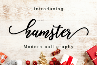 Hamster Script: A Guide to Stylish Swashes