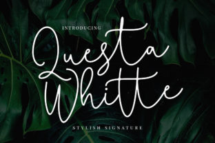 Questa Whitte Script: The Energetic Handwritten Font